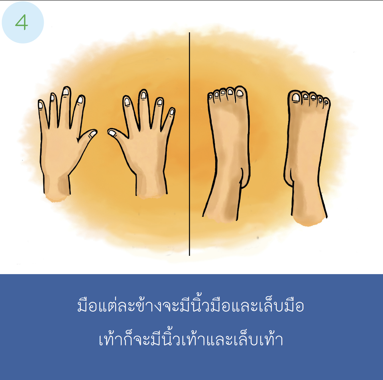 เรื่องเล่าสำหรับเด็กออทิสติก "ตัดเล็บกันเถอะ"  เด็กชาย